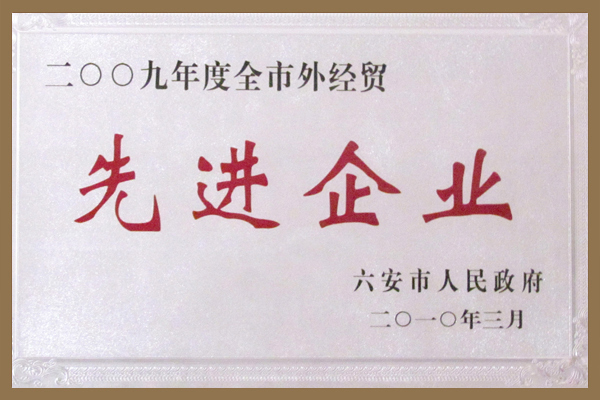六安市政府授予集團全市外經(jīng)貿(mào)先進企業(yè)榮譽稱號。