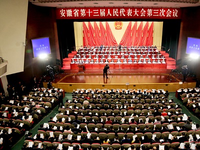 星星集團(tuán)黨委書記、董事長管傳玉參加安徽省第十三屆人民代表大會