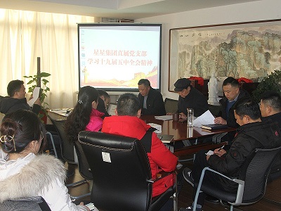 星星集團(tuán)直屬黨支部集中學(xué)習(xí)黨的十九屆五中全會(huì)精神